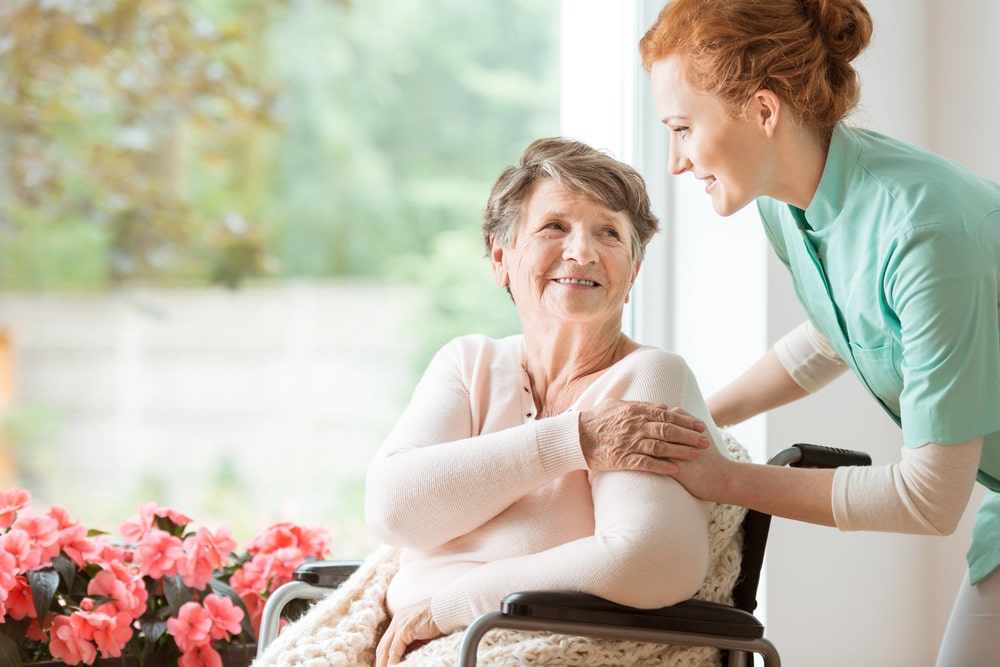 elder law lawyer